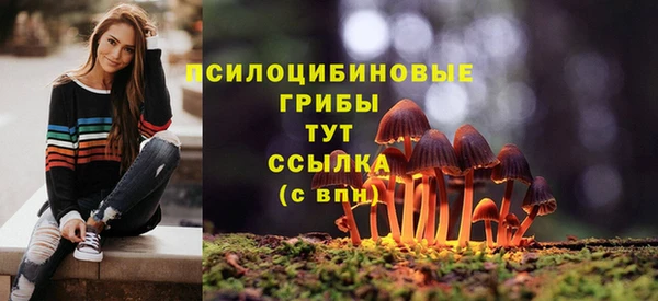 сатива Балахна