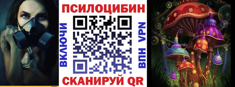 Галлюциногенные грибы Cubensis  Кологрив 